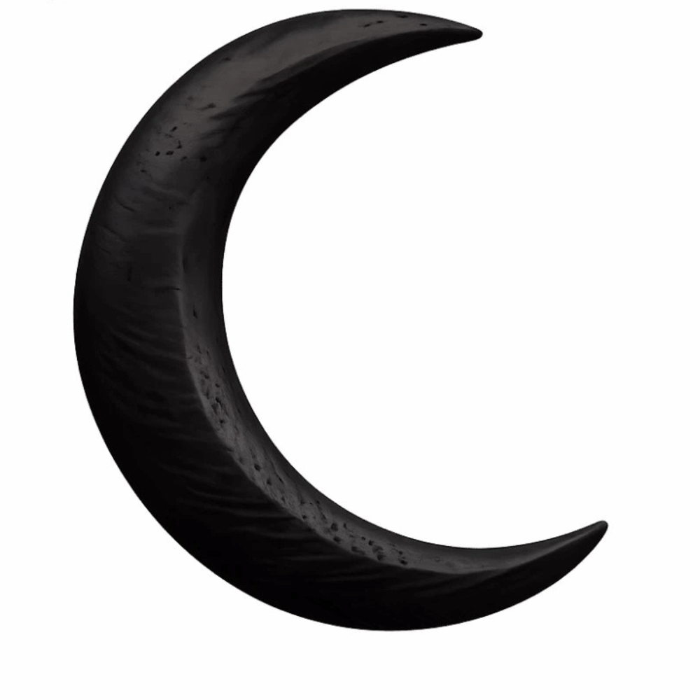 Elegant Crescent Hair Fork Han - огляд і ціна Half Moon Crescent
